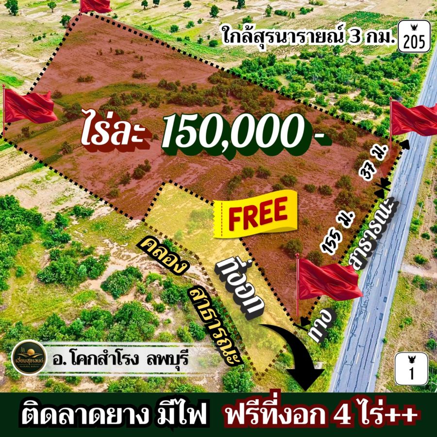 - ที่โคกสำโรง ลพบุรี ไร่ละ 150,000 ติดลาดยาง มีไฟ ใกล้ ถ.205 พหล และบายพาสสายใหม่ ขายยก 28 ไร่กว่า แถมที่งอกฟรีๆ ถึง 4 ไร่