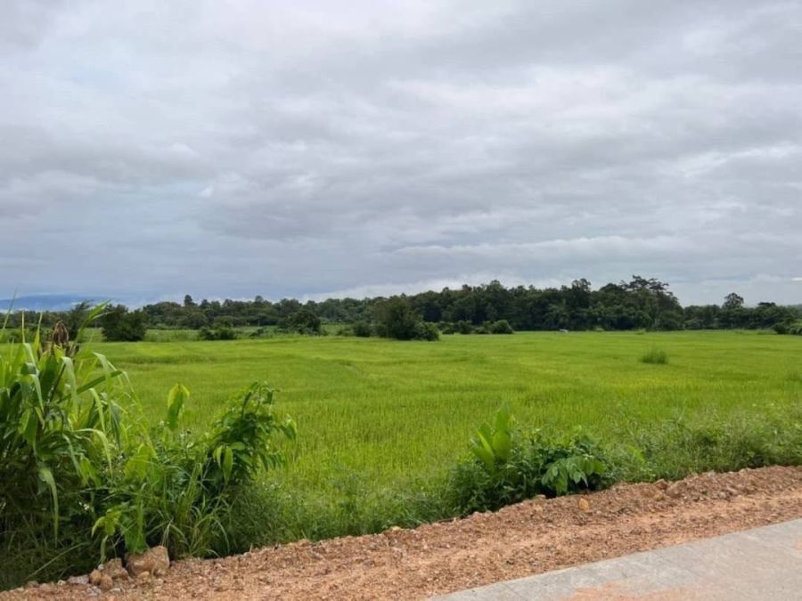 - ที่ดินทำเลทองแม่ริม 5 ไร่กว่า ใกล้มรภ.เชียงใหม่ (สะลวง) & นานาชาติเปรม! ขายที่ดินเปล่าผืนสวย