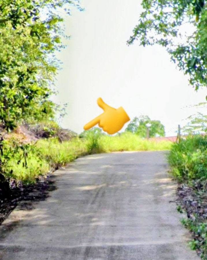 - ที่ดินสวย กลางเนิน น้ำไม่ท่วม อ.ท่าปลา อุตรดิตถ์