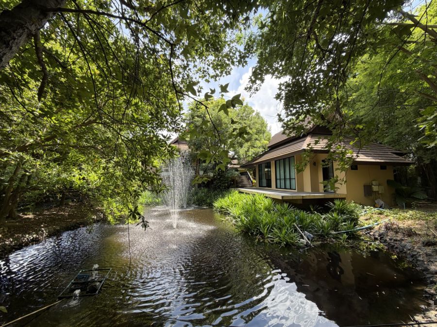- ขายบ้านหรูสไตล์ล้านนาร่วมสมัยพร้อมสวนรีสอร์ท 727 ตรว. 7 นอนน้ำ หางดง เชียงใหม่