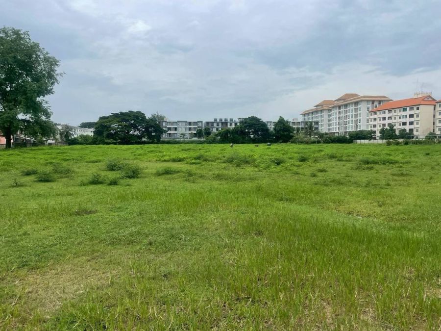 - ขายที่ดิน 12 ไร่ 33 ตรว ป่าแดด เชียงใหม่/12 Rai 33 sq.wha Development Land for Sale