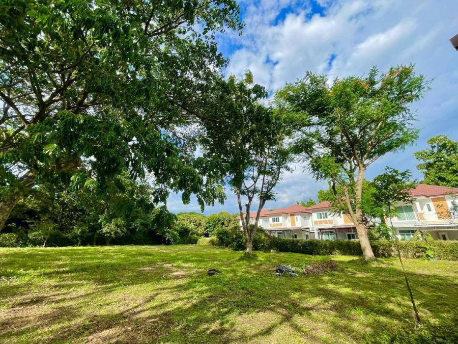 - ขายที่ดิน 2 ไร่ 71 ตรว. สันผีเสื้อ เชียงใหม่ ใกล้รวมโชค NIS/2 Rai 71 sq.wha Land for Sale in San Phi Suea