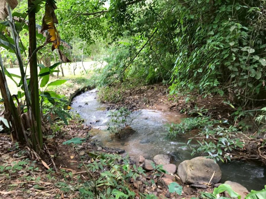 - ขายที่ดิน 10 ไร่ บ้านปง หางดง เชียงใหม่ ติดถนนหลักพร้อมพัฒนา/10 Rai Developed Land for Sale in Ban Pong,Hang Dong Chiang Mai