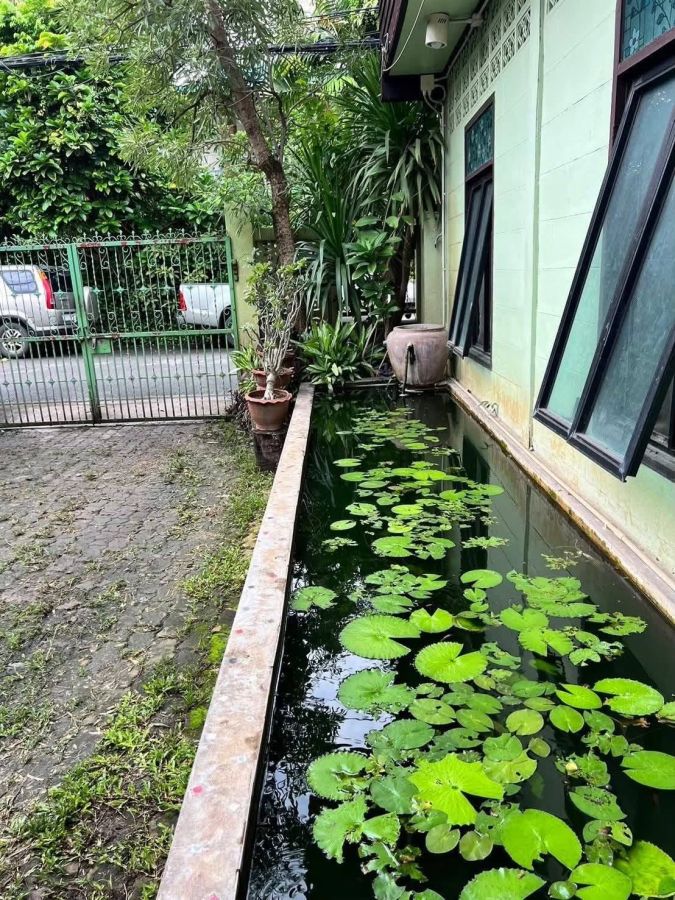 - บ้านพร้อมที่ดินทำเลทอง ใจกลางเมืองเชียงใหม่ (คูเมืองด้านใน) โอกาสหายาก