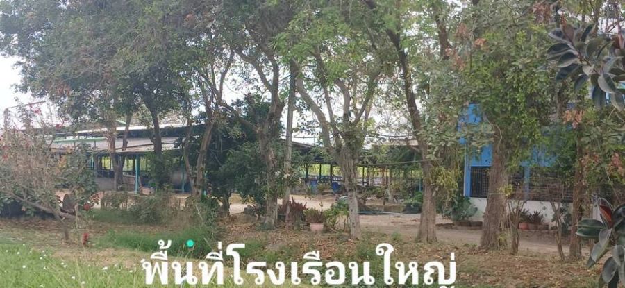 - ขายบ้านสวนสไตล์รีสอร์ทต่ำกว่าทุน มีเนื้อที่ 24 ไร่(2 โฉนด) อ.กำแพงแสน จ.นครปฐม