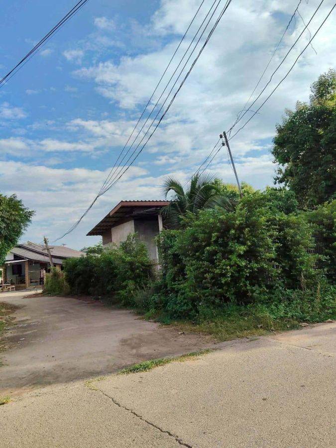 - ขายที่ดินตำบลป่าไผสันทรายติดถนนสองด้านพร้อมโอน