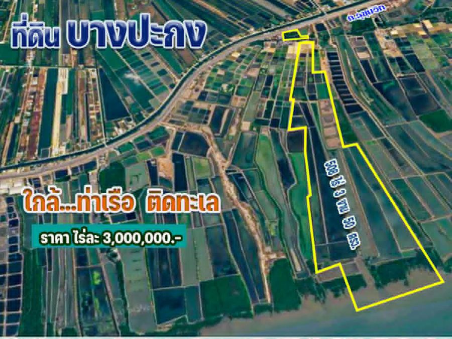 - ขายที่ดินบางปะกง 508 ไร่ (ติดทะเล.ติดถ.สุขุมวิท)