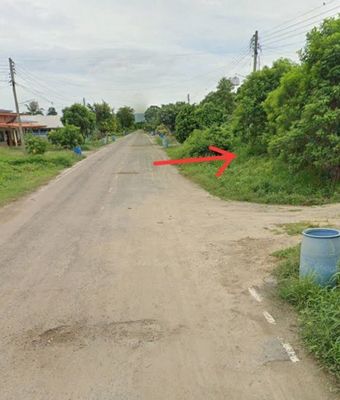 - ขายที่ดิน 250ตร.ว. ปากช่อง โคราช นครราชสีมา