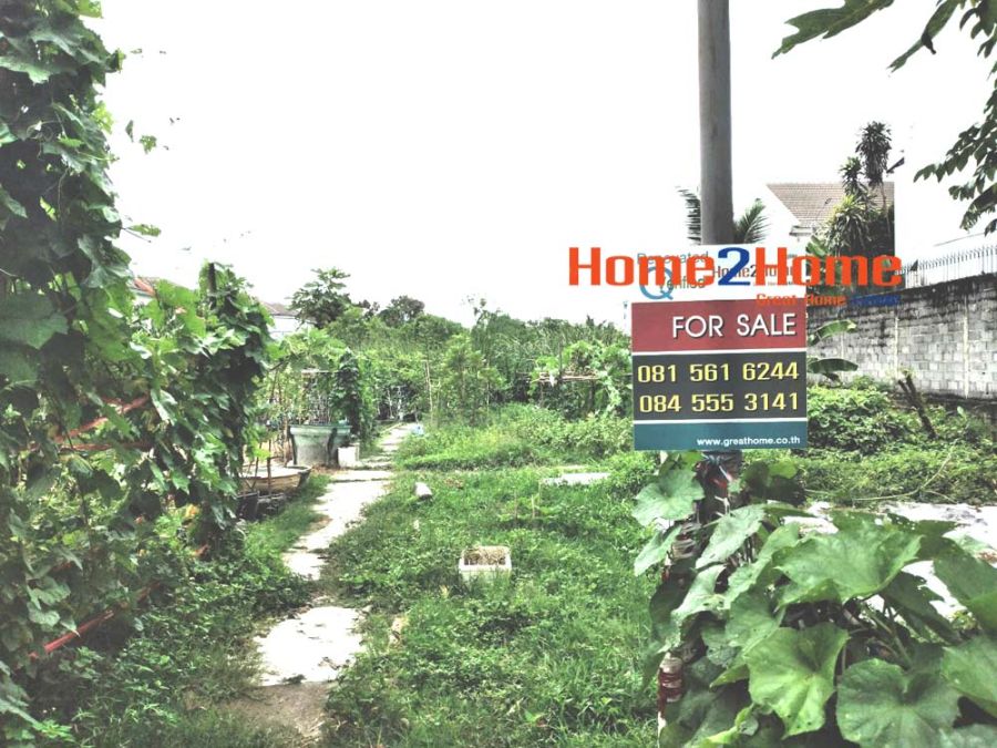 - ขาย ที่ดิน 1 ไร่ ถมแล้ว หลังเดอะวอล์ค ราชพฤกษ์