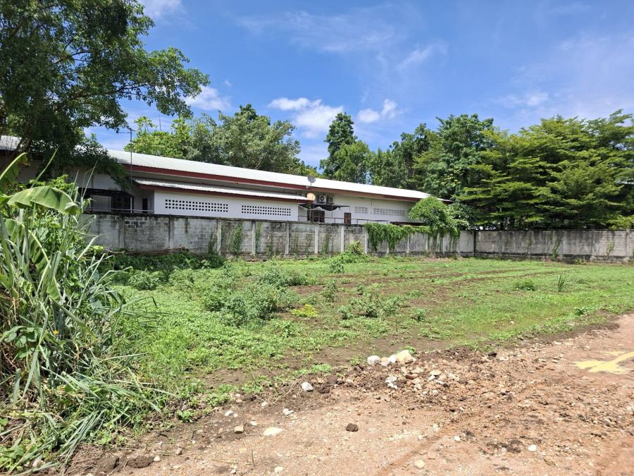 - ขายที่ดินบ้านแหวน หางดง 200 ตร.ว. ใกล้ ปตท. น้ำแพร่ หางดง | เชียงใหม่