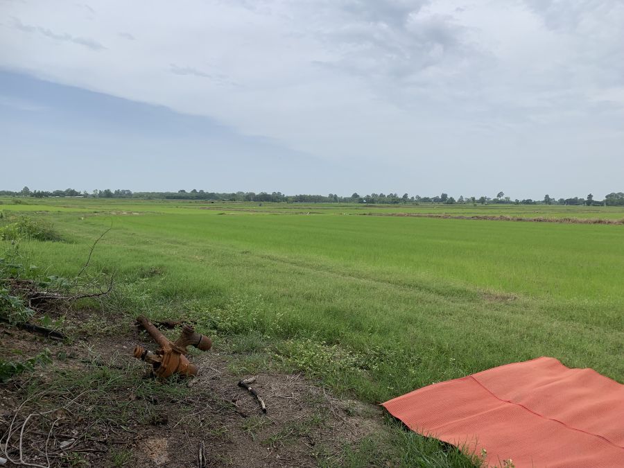 - ขายที่ดิน 11 ไร่ 3 งาน อ.บางกระทุ่ม จ.พิษณุโลก ทำเลดี บรรยากาศร่มรื่น เหมาะสำหรับการลงทุน