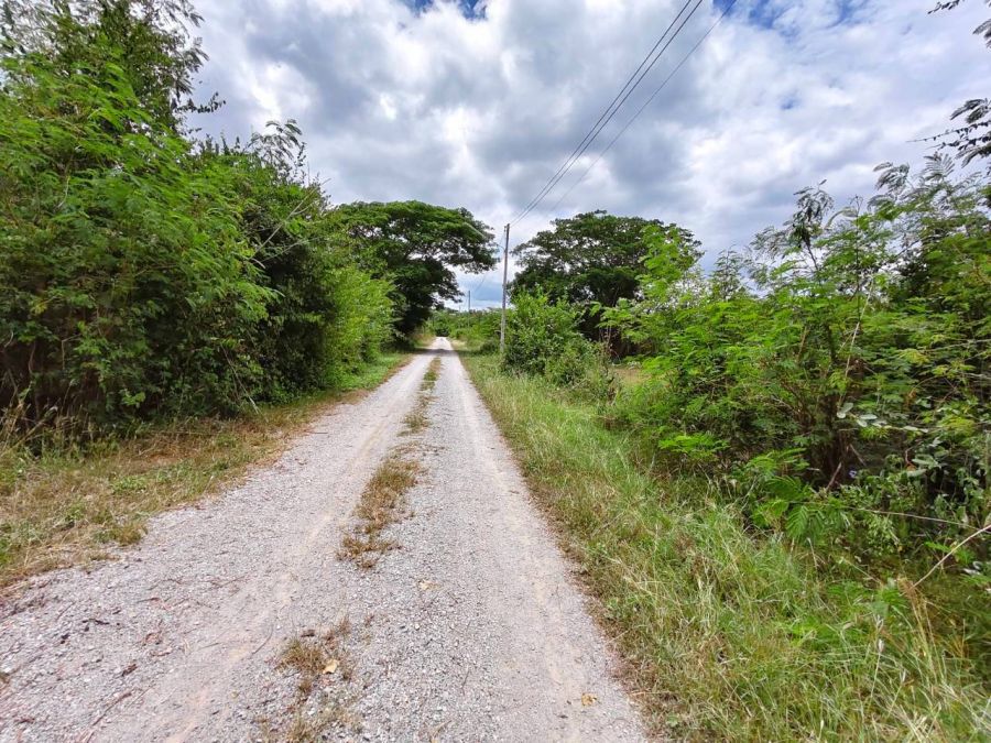 - ขายที่ดินถมแล้ว 148 ตร.ว. ทำเลหินเหล็กไฟ หัวหิน ใกล้สนามกอล์ฟแบล็คเมาเท่น พร้อมโอน!