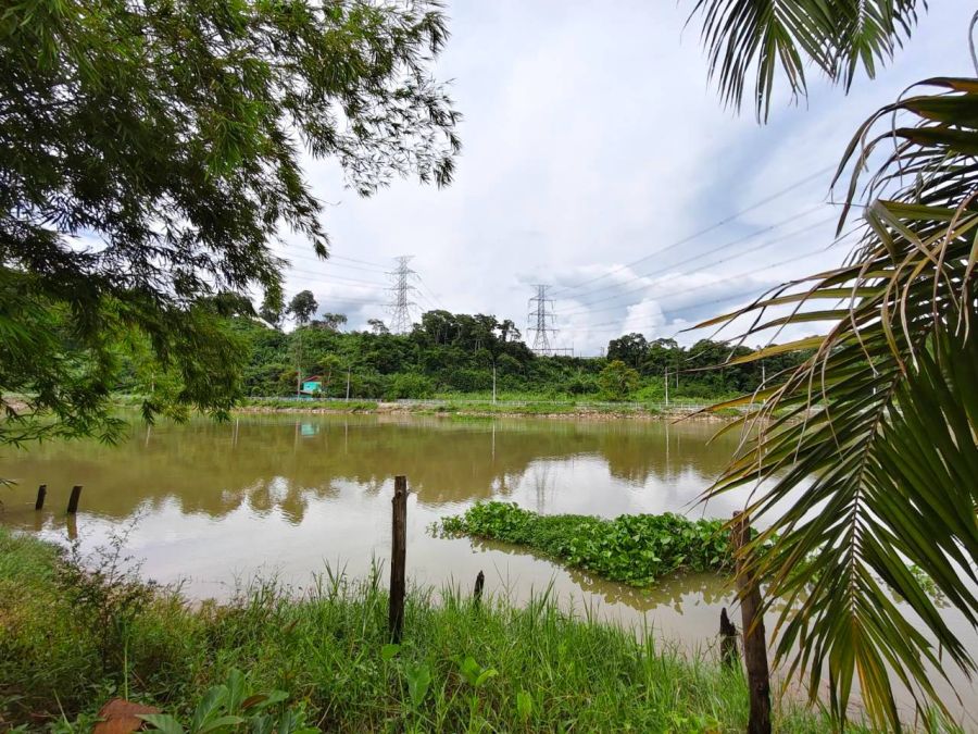 - ขายที่ดินริมแม่น้ำตาปี ทำเลทอง บรรยากาศดี วิวสวยธรรมชาติ อากาศบริสุทธิ์ ใกล้เมืองพุนพิน สุราษฎร์ธานี