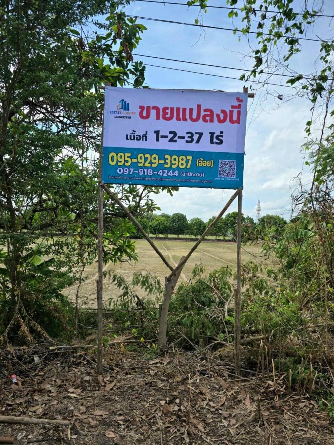 - ขาย ที่ดินเปล่า ต.บ้านใหม่ อ.บางใหญ่ จ.นนทบุรี