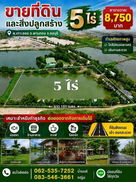- ขายที่ดินพร้อมสิ่งปลูกสร้าง ขนาด 5 ไร่ ต.เกาะลอย อ.พานทอง จ.ชลบุรี
