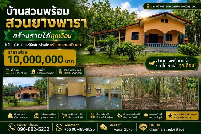 - บ้านสวนพร้อมสวนยางพารา สร้างรายได้ทุกเดือน บนพื้นที่เกือบ 9 ไร่ จังหวัดระยอง