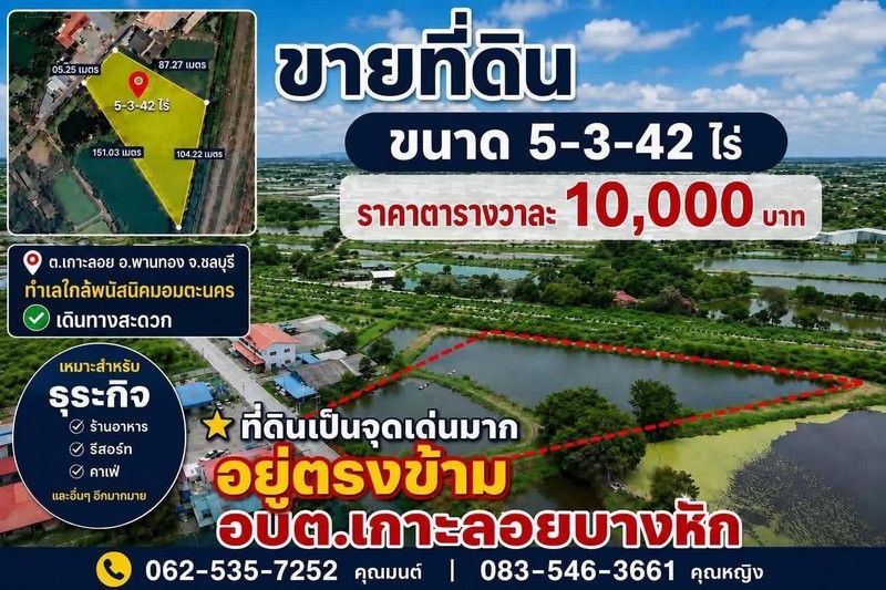 - ขายที่ดินบ่อปลา ขนาด 5 ไร่ 3 งาน 42 ตรว ต.เกาะลอย อ.พานทอง จ.ชลบุรี