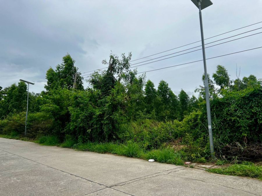 - ที่ดินแปลงเล็กทำเลทอง คลอง 2 อ.ธัญบุรี จ.ปทุมธานี ซ.รังสิต-นครนายก 25 เนื้อที่ 51 ตร.ว ราคา 890,000 บาท