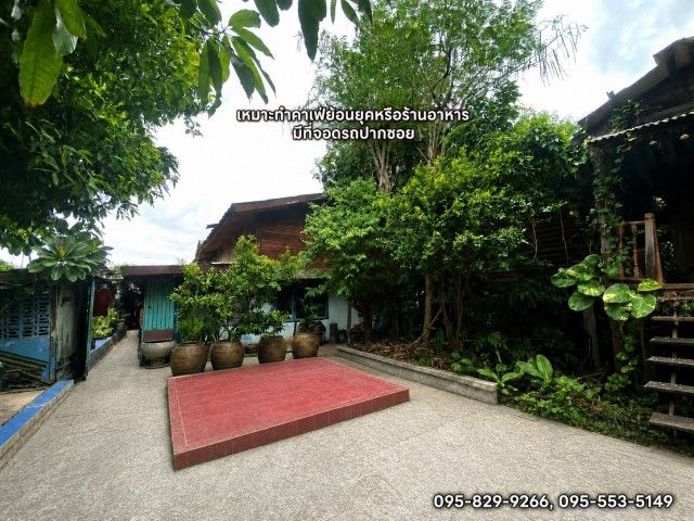 - ขายที่ดินต่ำกว่าราคาประเมินมาก 115 ตารางวา พร้อมสิ่งปลูกสร้าง บ้านเดี่ยว 2 ชั้น ถ.สรรพาวุธ-ทางรถไฟเก่า ปากน้ำ ซ.จ่าโสด พระโขนง กรุงเทพฯ