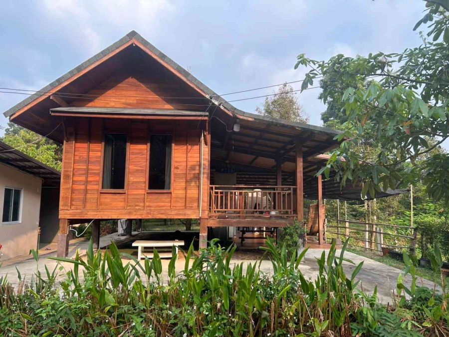 - ขายที่ดิน สวนทุเรียน ทำเลดี อ.เมือง จ.ปราจีนบุรี