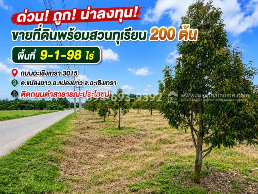 - ขายที่ดิน อ.แปลงยาว จ.ฉะเชิงเทรา พร้อมสวนทุเรียน 200 ต้น ได้ทั้งที่ดิน ได้ทั้งสวน พื้นที่ 9 ไร่ 1 งาน 98 ตรว. เหมาะลงทุนทำสวนหรือสร้างบ้านสวน