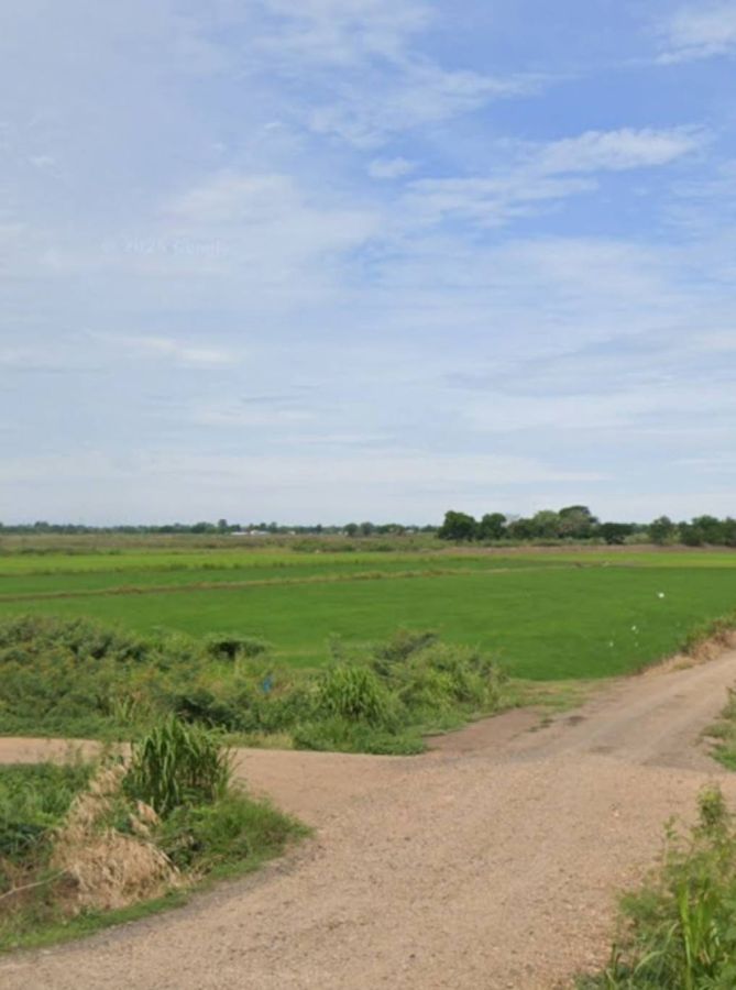 - ขาย ที่ดิน 24 ไร่ จ. พระนครศรีอยุธยา ไร่ละ 300,000 บ. ต. บ้านขวาง ต. น้ำเต้า อ. มหาราช (ใกล้ แยกเจ้าปลุก ,ถ.ทางหลวง 3267 อ่างทอง - ท่าเรือ)