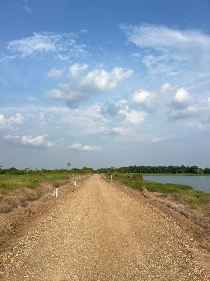 - ที่ดินวิวบึง คลอง 10 หนองเสือ ปทุมธานี แปลงละ 100 ตร.ว.