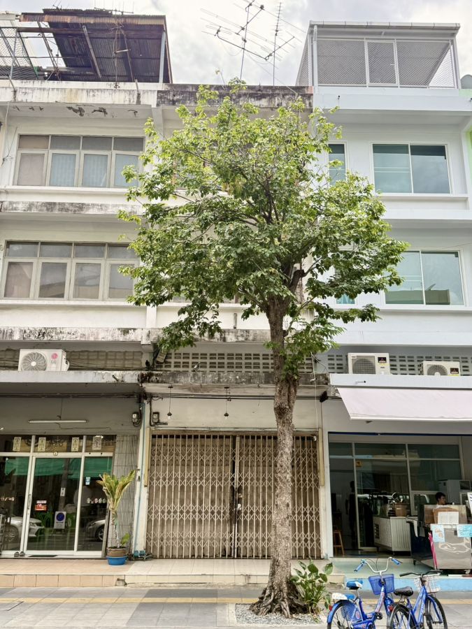 - ขายอาคารพาณิชย์ 3 ชั้นครึ่ง เพชรเกษม 54 ภาษีเจริญ กรุงเทพมหานครฯ