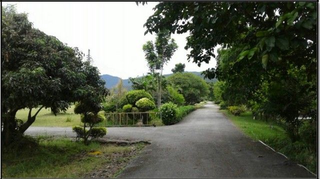- ขายที่ดิน115ไร่ ลดพิเศษ 39ล. ผ่อนได้ ฟรีโอน บ้านยุโรป3หลัง สาธารณูปโภค เหมาะทำรีสอร์ท คาเฟ่ ที่เที่ยว เกษตร ใกล้เทศบาล ต.ทากาศ อ.แม่ทา ลำพูน