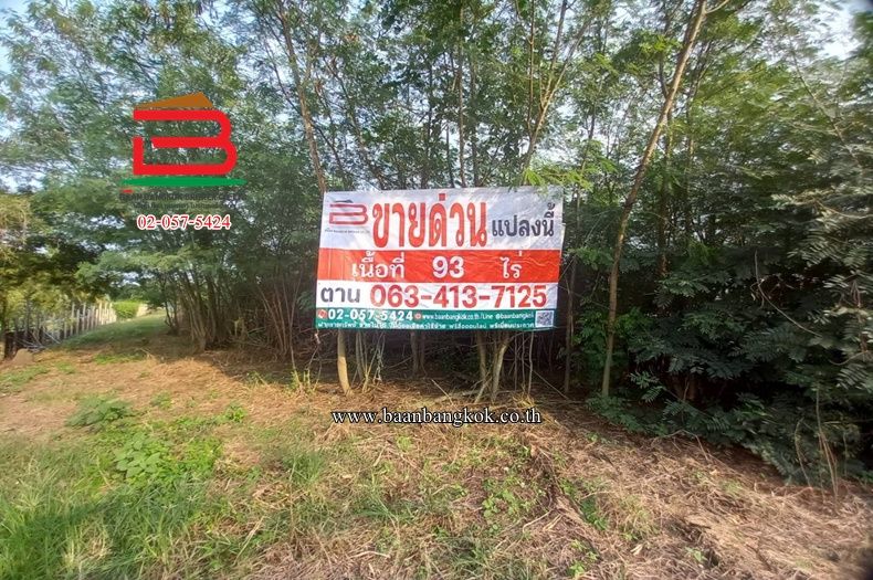 - ที่ดินถมแล้ว ติดถนนคลอง 10 เนื้อที่ 93 ไร่ ถนนรังสิต-นครนายก ตำบลบึงกาสาม อำเภอหนองเสือ จังหวัดปทุมธานี
