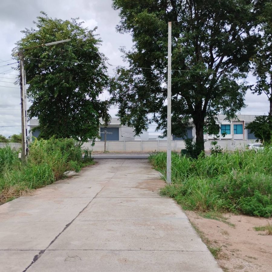 - ให้เช่าที่ดิน 2งาน ซอย13 สาย15 มีไฟฟ้า มีน้ำ เหมาะมาก ตู้ออฟฟิศ ลานจอด