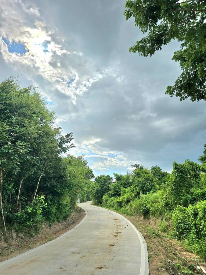 - ขายด่วน ที่ดินติดนิคมฯลำพูน พร้อมระบบสาธารณูปโภค