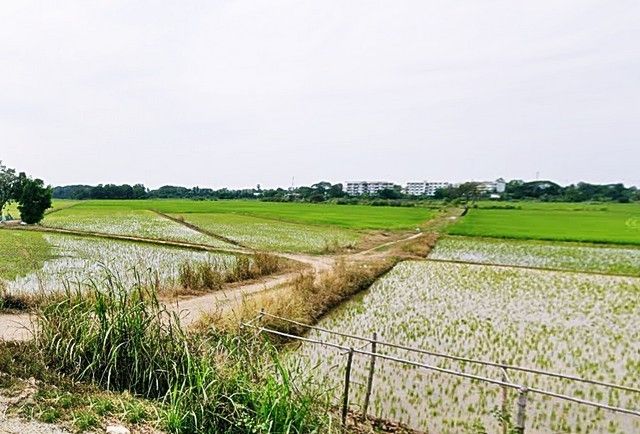 - ที่ดิน2.5แสนต่อไร่ รวม3ไร่กว่า 8.8แสนบาท ใกล้บ้านเอื้ออาทรพิจิตร สถานีรถไฟพิจิตร อ.เมือง พิจิตร T o86-3ol-6l6l โฉนดพร้อมโอน ถูกมาก