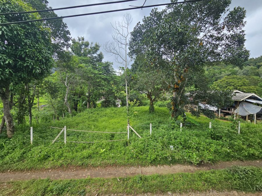 - ที่ดิน แนวราบขนาด 191 ตรว หน้ากว้างประมาณ 28 ม ใกล้ทางขึ้นม่อนแจ่ม วิวภูเขา อากาศเย็น เหมาะสำหรับสร้างบ้านเพื่อพักผ่อน หรือทำ Pool Villa, Home stay.