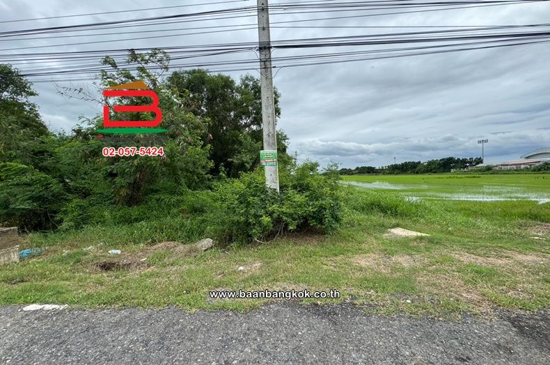 - ที่ดินเปล่า เนื้อที่ 16-1-91 ไร่ ใกล้สนง.เทศบาลตำบลลำลูกกา ถนนเทศบาลลำลูกกา 1 ตำบลบึงคำพร้อย อำเภอลำลูกกา ปทุมธานี