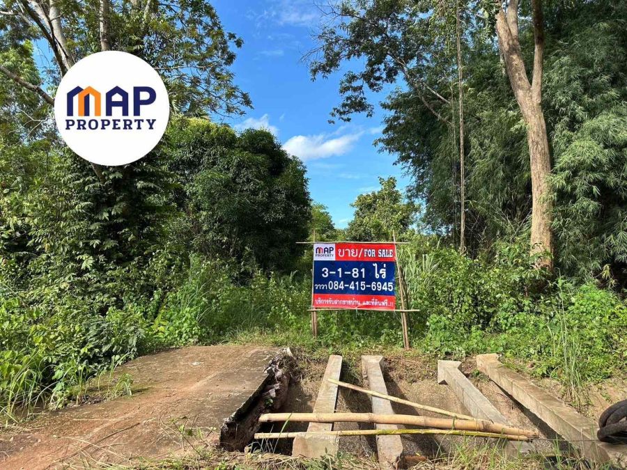 - เนรมิต "บ้านสวน" ในฝัน! ที่ดินผืนงาม 3 ไร่กว่า บรรยากาศร่มรื่น ใกล้ชิดธรรมชาติ เอาใจนักท่องเที่ยว