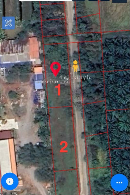 - ขายที่ดินเปล่ามีโฉนด ติดถนนทำเลดี ท่าทองใหม่ สุราษฎร์ธานี
