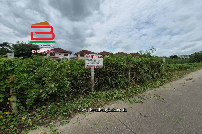 - ที่ดิน ซอยเทศบาล 3/3-2 ติดกับ หมู่บ้านพฤกษา 16 เนื้อที่ 70 ตรว. ตำบลบางใหญ่ อำเภอบางใหญ่ จังหวัดนนทบุรี