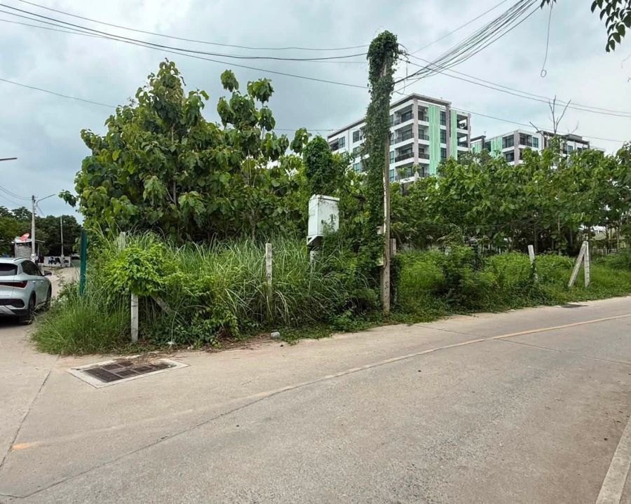 - ขายที่ดินหนองปลาไหล พัทยา แปลงมุม 376 ตรว. ทำเลดีมีศักยภาพ ใกล้หาด2.8กม. อ.บางละมุง ชลบุรี
