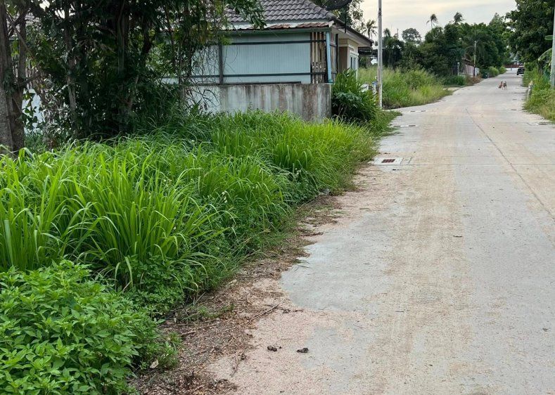 - ขายที่ดินตะเคียนเตี้ย มาบหว้า 1 ไร่ ติดถนนคอนกรีต ใกล้หาดกระทิงลาย5.6กม. อ.บางละมุง จ.ชลบุรี