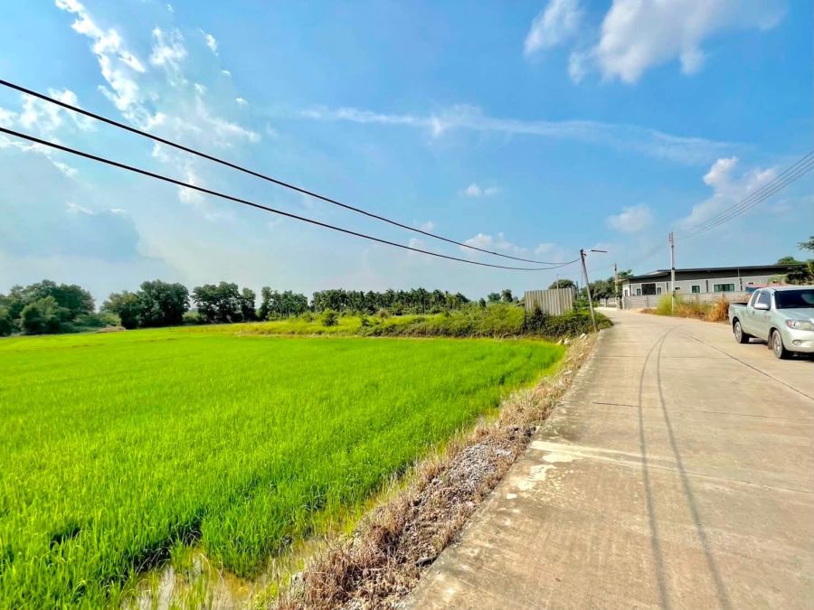 - ขายที่ดินตาขัน 6 ไร่ ติดถนนคอนกรีตซอยโรงเรียนบ้านเก่า ใกล้เซ็นทรัล-10กม. อ.บ้านค่าย ระยอง