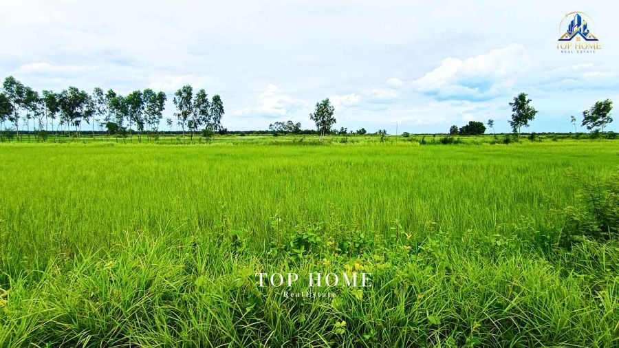 - ขายด่วน! ที่ดินเปล่า 200 ตร.ว. องครักษ์ 24 ราคาเพียง 590,000 บาท! แปลงสวย ขนาดกำลังดี เหมาะทำสวน เพาะปลูก | โฉนดเดียว