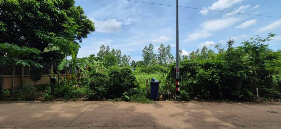 - ขายที่ดินสวยแปลงใหญ่ ศรีมหาโพธิ ปราจีนบุรี 1 งาน 16 ตร.ว. โฉนดครุฑแดงเหมาะสร้างบ้าน!