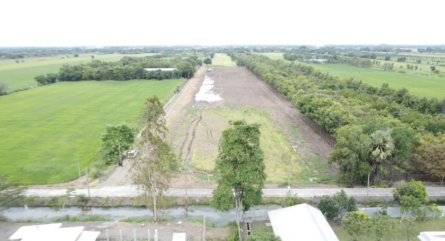 - คลอง 11 หนองเสือ ทำเลดี บรรยากาศดี เหมาะสำหรับทำบ้าน ถนน 8 เมตร เพื่อนบ้านครบ