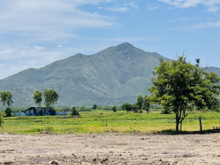 - ขายที่ดินจังหวัดลพบุรี วิวเขา ติดน้ำ โอบล้อมด้วยทุ่งนาสวย เอกสารโฉนดครุฑแดง