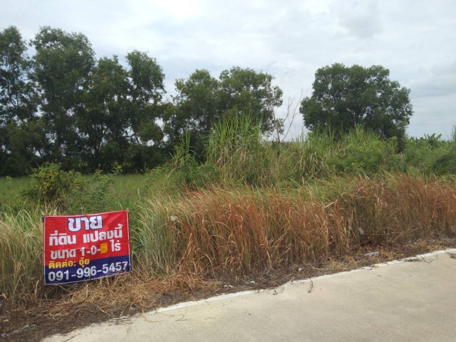 - ขายที่ดิน ราคาถูก แปลงจัดสรร ซอยคลองสี่ตะวันออก ซอย55