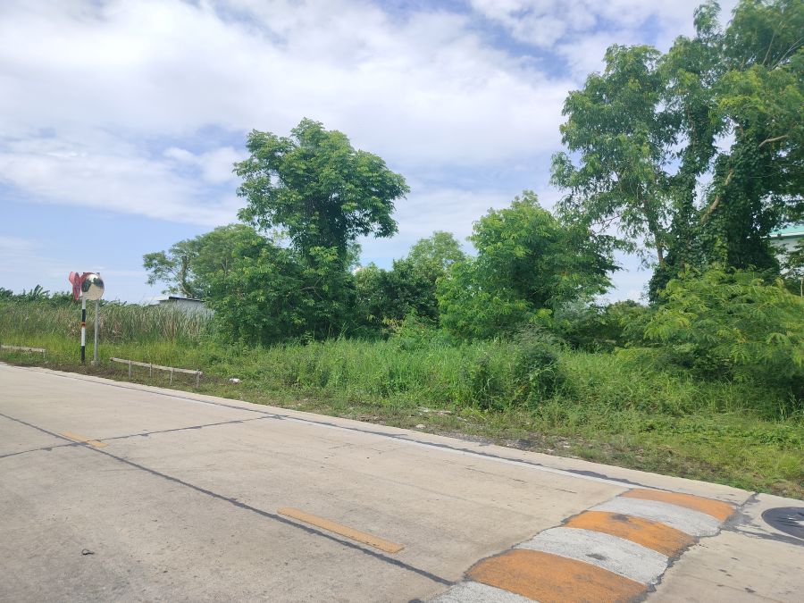 - ที่ดินติดซอยแยกถนนพระเงิน 101 ตร.ว. ทำเลดี ติดถนนสาธารณะคอนกรีต เหมาะสร้างบ้าน / ออฟฟิศ / ร้านค้า / ธุรกิจขนาดเล็ก บรรยากาศร่มรื่น