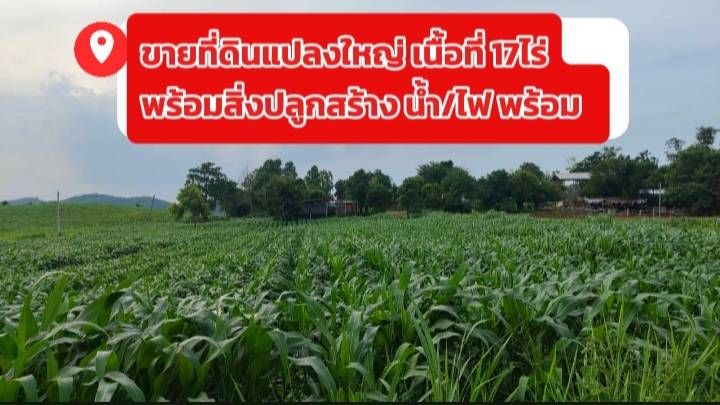 - ขายที่ดินแปลงใหญ่ ห่างจากถนนมิตรภาพ 17กม. พร้อมสิ่งปลูกสร้าง น้ำ/ไฟ ครบ พร้อมใช้งาน