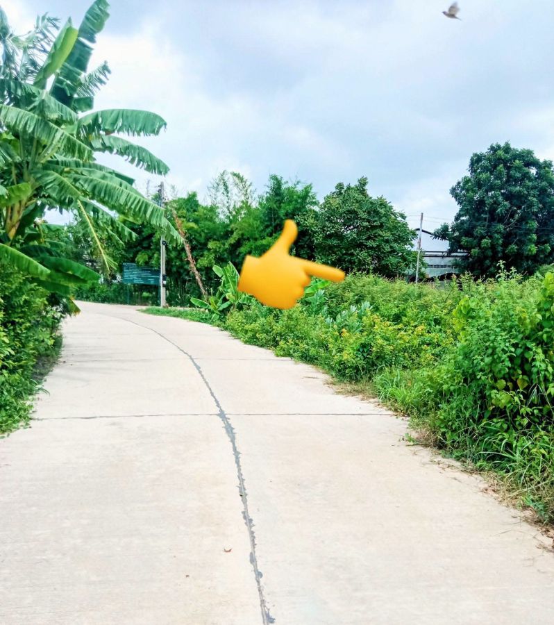 - ที่ดินเปล่า ติดชุมชน ใกล้ถนนสายหลัก ราคาถูก บุรีรัมย์