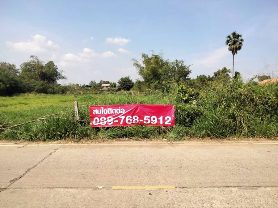 - ขายที่ดิน 2-3-33 ไร่ ต.กระโทก อ.โชคชัย โคราช ผังสีชมพู ติดถนนคอนกรีต หน้ากว้าง 40 ม. ไฟฟ้าพร้อม